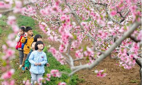 北京平谷桃花节_北京平谷桃花节最佳观赏地