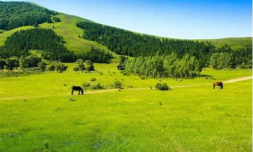 木兰围场旅游_木兰围场旅游景点攻略